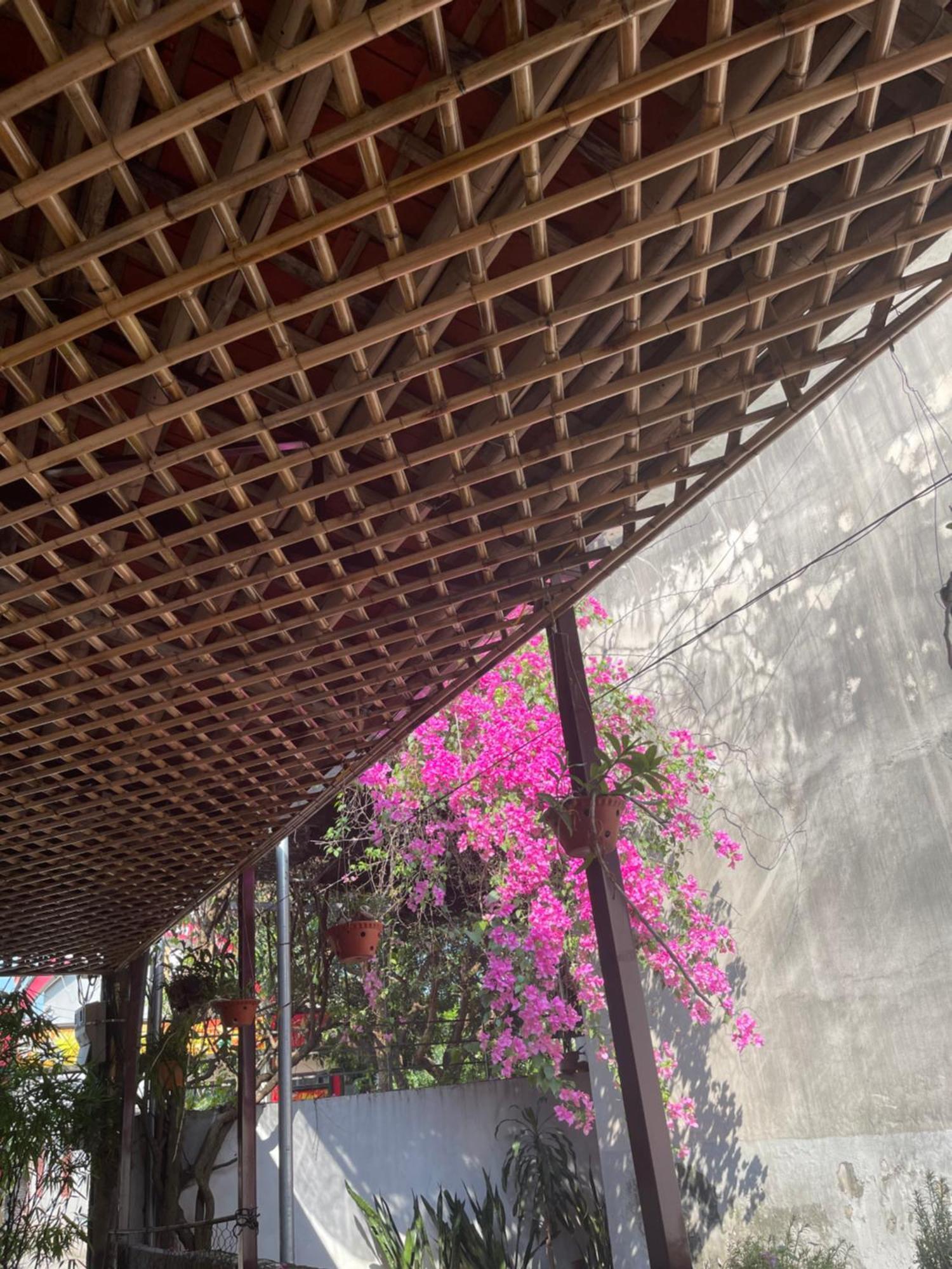 Thuy Xuyen Tam Coc Homestay Vu Lam Eksteriør billede