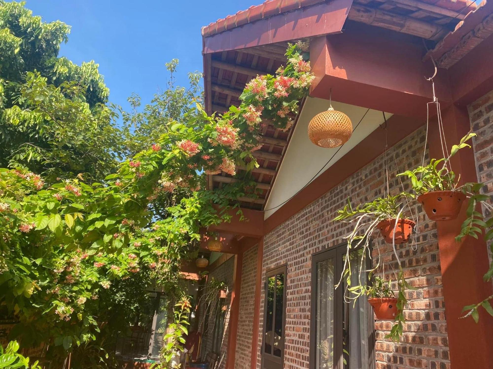 Thuy Xuyen Tam Coc Homestay Vu Lam Eksteriør billede