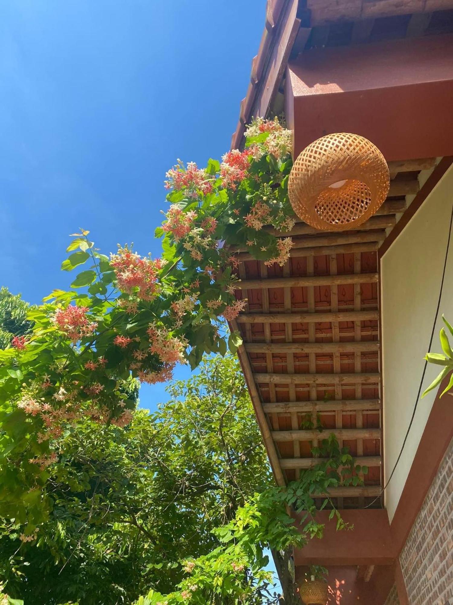 Thuy Xuyen Tam Coc Homestay Vu Lam Eksteriør billede