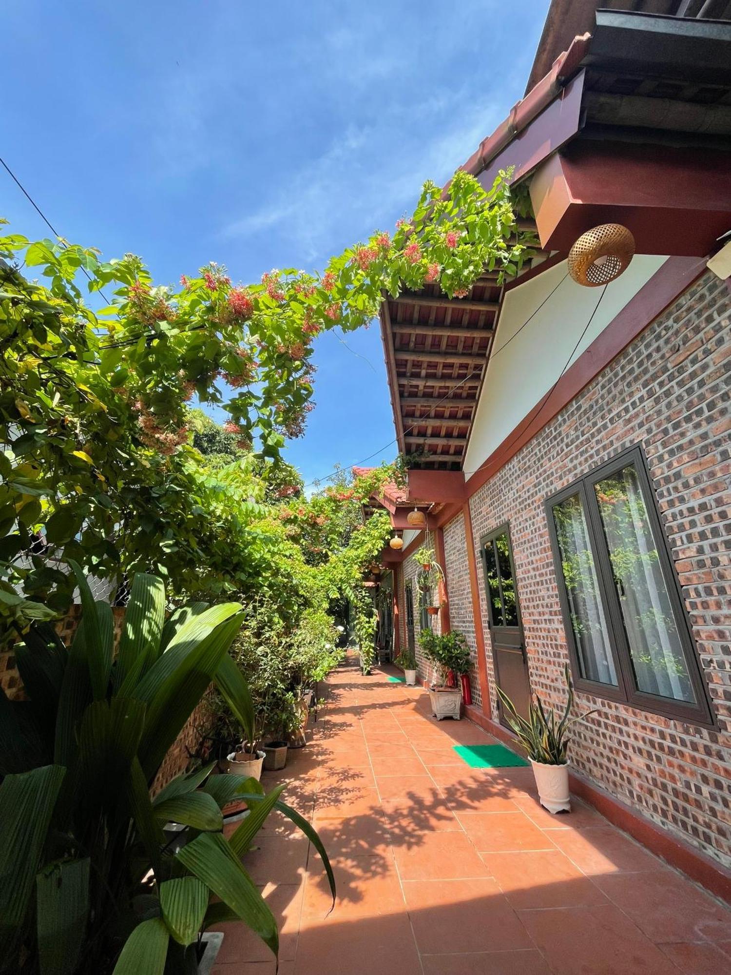 Thuy Xuyen Tam Coc Homestay Vu Lam Eksteriør billede