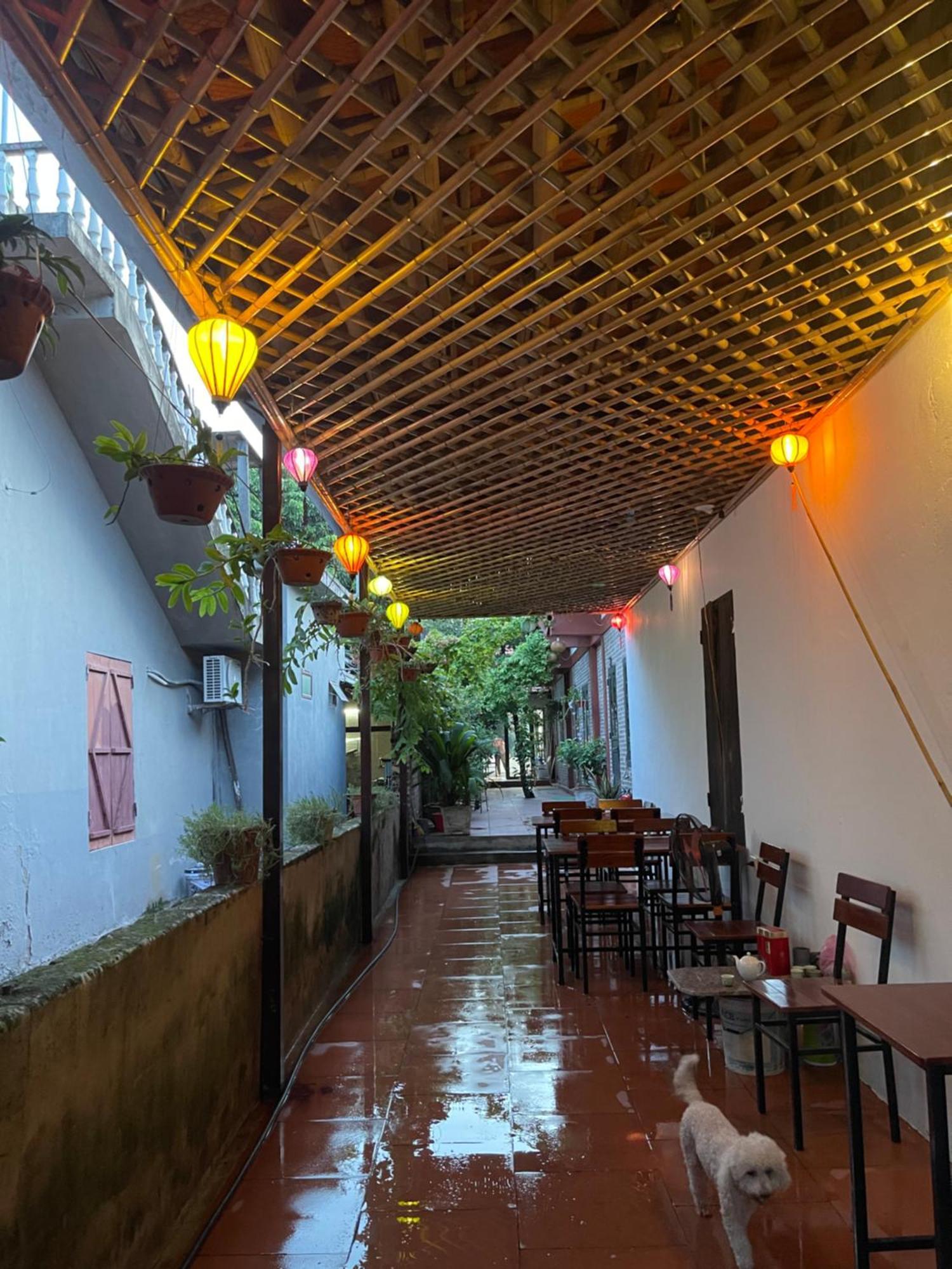 Thuy Xuyen Tam Coc Homestay Vu Lam Eksteriør billede