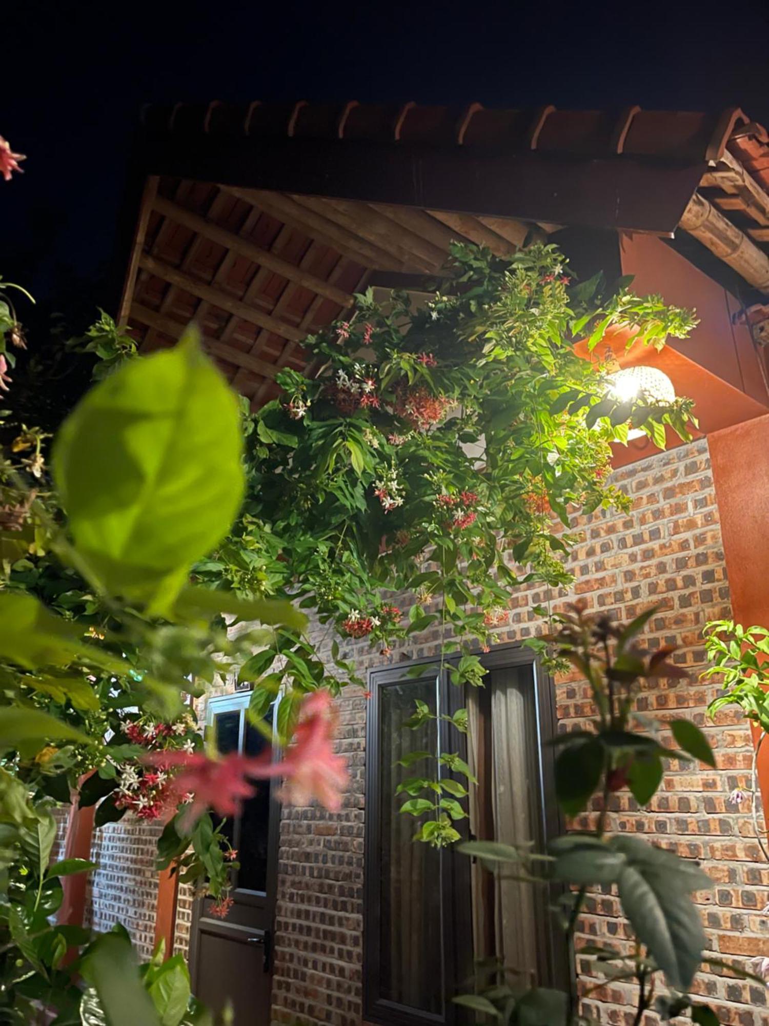 Thuy Xuyen Tam Coc Homestay Vu Lam Eksteriør billede